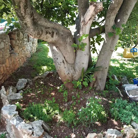 Appartamento In Porec/istrien 37747
