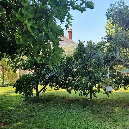 In Porec/istrien 37747 Apartment