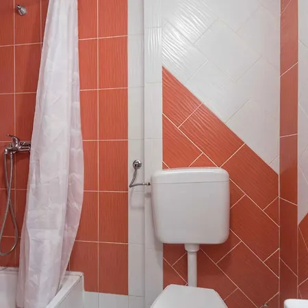 Apartment In Porec/istrien 37747